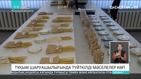 Елімізде тұқым шаруашылығын дамыту ісі ақсап тұр - Сенатор