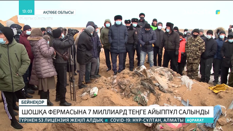 Ақтөбеде шошқа фермасына 7 млрд теңге айыппұл салынды