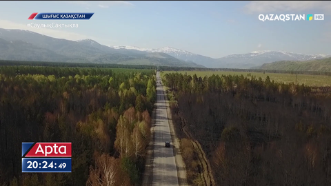 Ормандағы өрттердің 90 пайызы адами фактордан туындайды