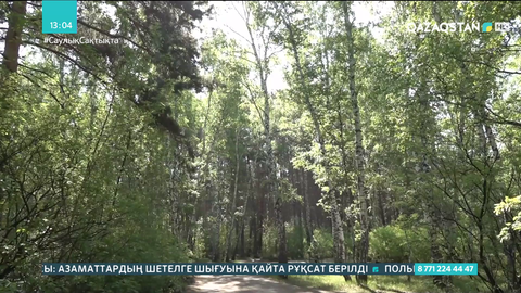 СҚО-да тұрғындарға орманға баруға тыйым салынды