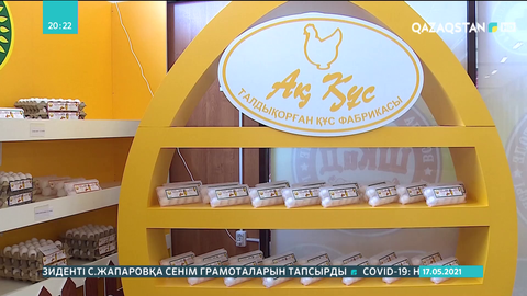 Қазақстанның шетелде 19 сауда үйі пайда болмақ