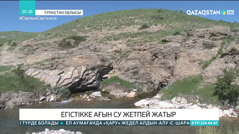 Созақ ауданында егістікке  ағын су жетпей жатыр