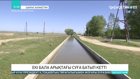 ШҚО-да екі бүлдіршін арықтың суына батып кетті