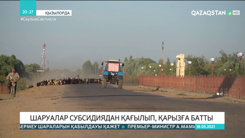 Сыр өңірінде шаруалар субсидиядан қағылып, қарызға батты