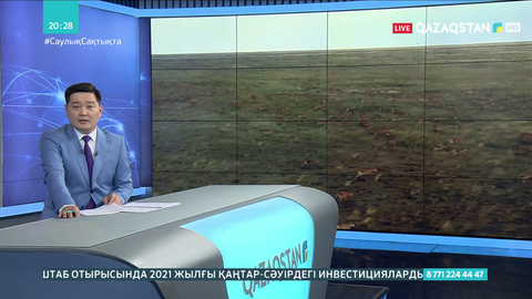 Батыс Қазақстанда киіктер үшін резерват құрылады
