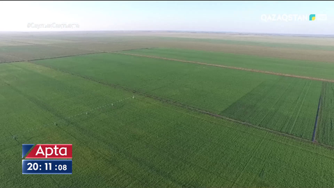 Сенат Жерді шетелдіктерге сатуға қатысты заң жобасын Мәжіліске қайтарды