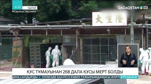 Қытайда құс тұмауы тіркелді