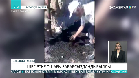 БҚО-да шегіртке ошағы анықталып, аумақ зарарсыздандырылды