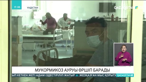 Үндістанда «қара зең» індеті өршіп барады