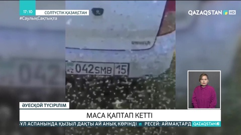 СҚО-да маса қаптап кетті