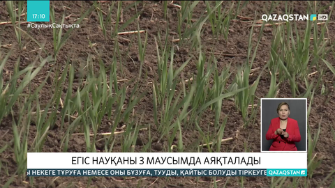 Шаруалар арзандатылған дизель отынымен қамтылды