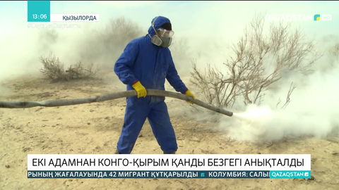 Қызылорда облысында екі адамнан конго-қырым қанды безгегі анықталды