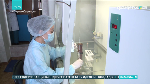 Ақмола облысында кене шағып, дәрігерге жүгінгендер көбейді