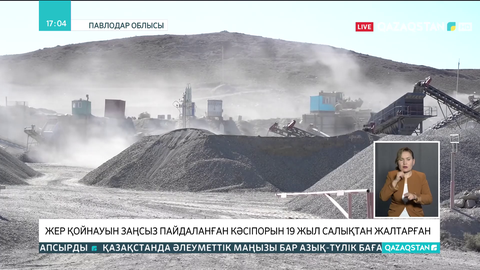 Баянауыл ауданындағы кәсіпорын 19 жыл бойы салықтан жалтарып келген