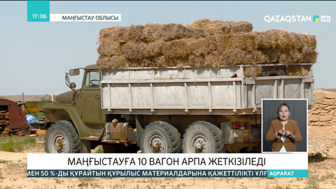 Маңғыстауға 10 вагон арпа жеткізіледі