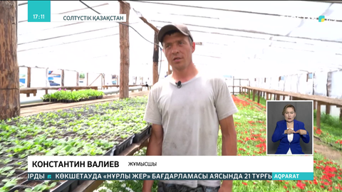 СҚО-дағы Имантау ауылында 150 отбасы гүл өсірумен айналысады