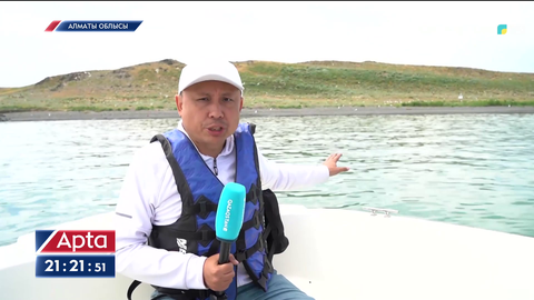 Алакөл мемлекеттік қорығында құстардың 324 түрі бар