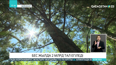 Алдағы бес жылда ел аумағында 2 млрд тал егіледі