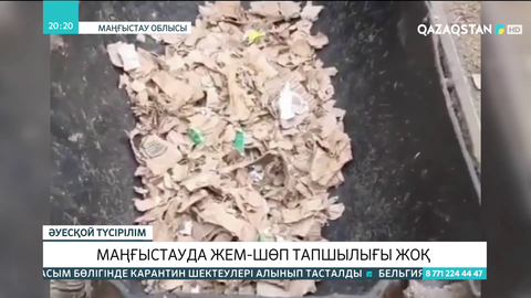 Маңғыстауда жем-шөп тапшылығы жоқ
