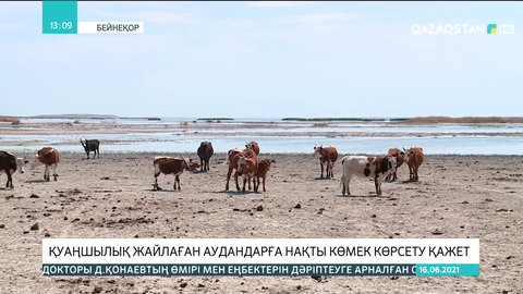 Қуаңшылық жайлаған аудандарға нақты көмек көрсету қажет - депутат