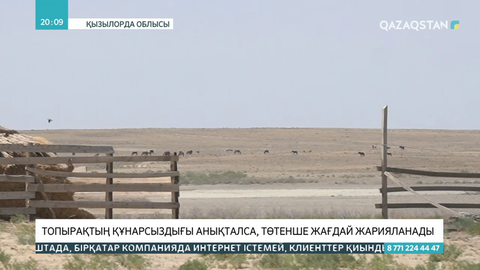 Аралда шаруаларға мың тоннадан астам жем-шөп жеткізілген