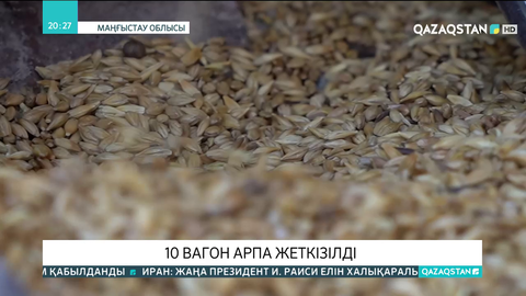 Маңғыстауға  10 вагон арпа жеткізілді