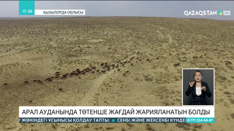 Арал ауданында төтенше жағдай жарияланатын болды