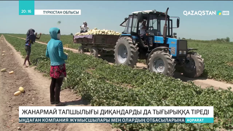 Түркістан облысындағы жанармай тапшылығы диқандарды да тығырыққа тіреді