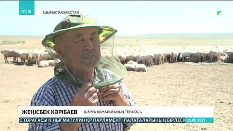 Зайсанның шаруалары жайылымға зәру