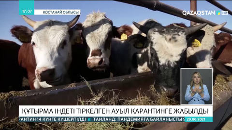 Қостанай облысында құтырма індеті тіркелген ауыл карантинге жабылды
