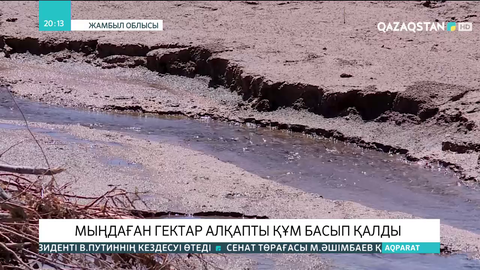 Жамбыл облысында мыңдаған гектар алқапты құм басып қалды