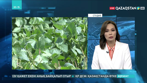 Субсидиялар беру талаптары оңтайланады