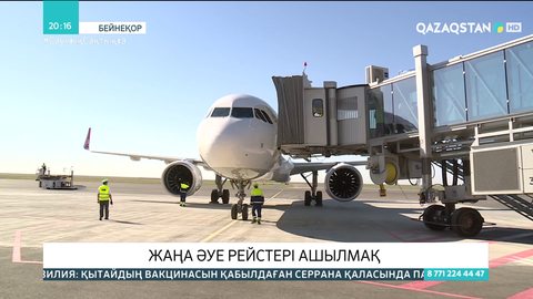 Келер жылдан бастап 14 жасқа дейінгі балаларға әуе билеті тегін болады