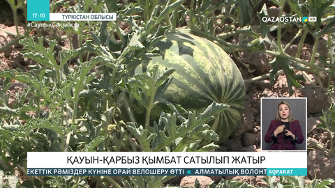 Түркістан облысында қауын-қарбыз қымбат бағаға сатылып жатыр