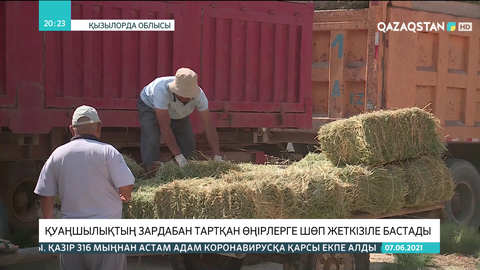Қуаңшылықтың зардабан тартқан өңірлерге шөп жеткізіле бастады