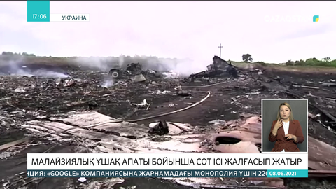 Нидерландыда малайзиялық ұшақ апаты бойынша сот ісі жалғасып жатыр