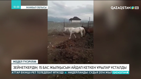 Жамбыл облысында зейнеткердің 15 жылқысын айдап кеткен ұрылар ұсталды