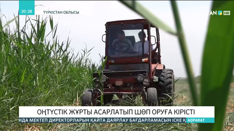 Оңтүстік жұрты асарлатып шөп оруға кірісті