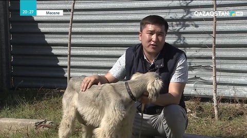 «Мәселе» бағдарламасы тілшілерінің қызықты кадрлары
