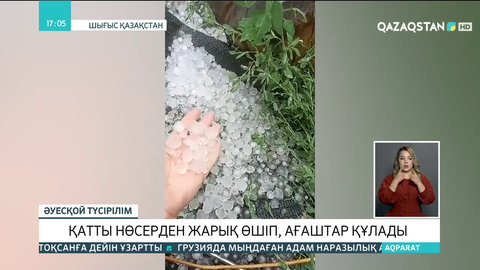Шығыс Қазақстанда бұршақ жауып, бау-бақшаға зиян келді