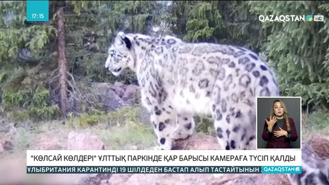 «Көлсай көлдері» ұлттық паркінде қар барысы фототұзаққа ілікті
