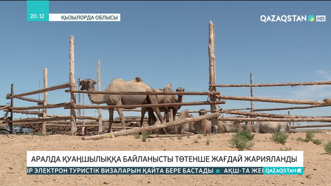 Аралда қуаңшылыққа байланысты төтенше жағдай жарияланды