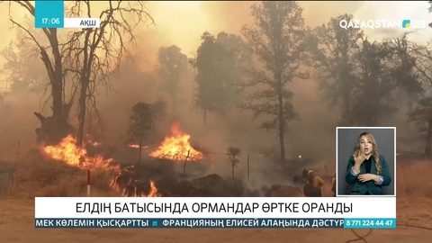 АҚШ-та ормандар өртке оранды