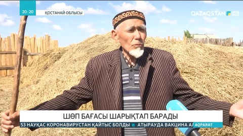 Қостанай облысында шөп бағасы шарықтап барады