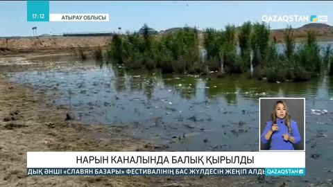 Атырау облысында каналда балық қырылды