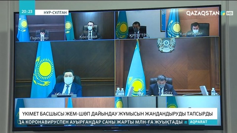 Үкімет басшысы жем-шөп дайындау жұмысын жандандыруды тапсырды
