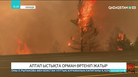 Канадада аптап ыстықтан орман өртеніп жатыр