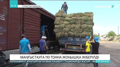 Оңтүстік жұрты Маңғыстауға 110 тонна шөп жіберді