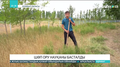 Жамбыл облысында шөп ору науқаны қыза түсті