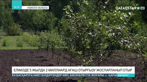 Елімізде 5 жылда 2 миллиард ағаш отырғызу жоспарланып отыр